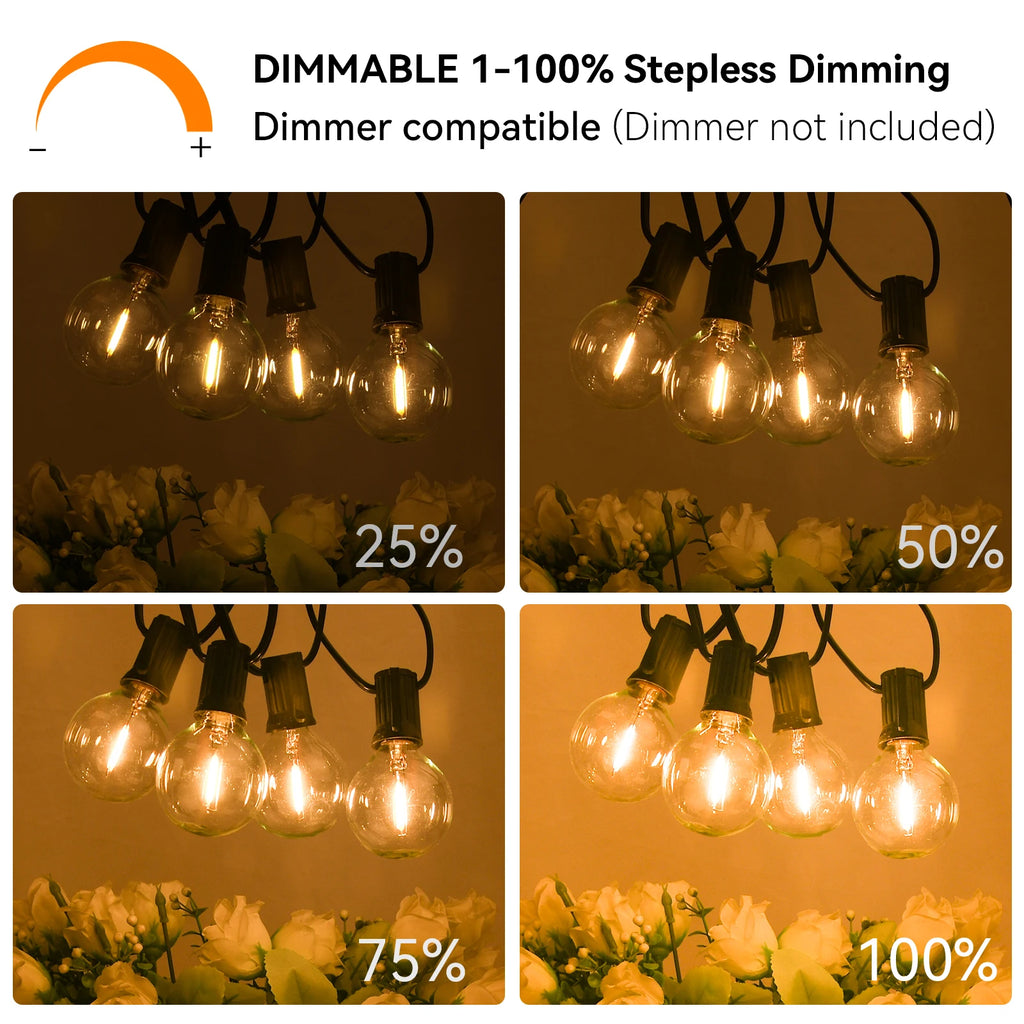 G40 LED Outdoor String Lights – 36M with 64 Shatterproof Bulbs